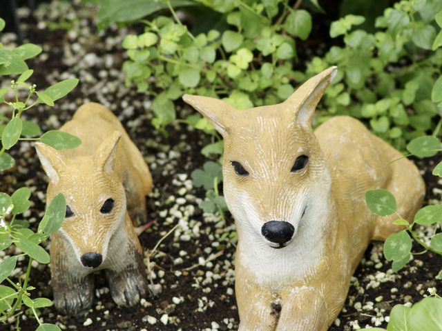グリーンセンター3_福井県総合グリーンセンター