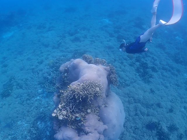 素敵な写真を撮っていただきました。_Saltwater social club