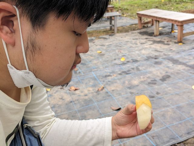 因幡のウサギだそうです。(笑)_梨の錦光園
