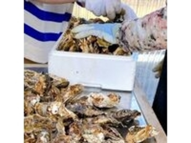 箱からはみ出しても蓋が閉まればOK。_英治丸