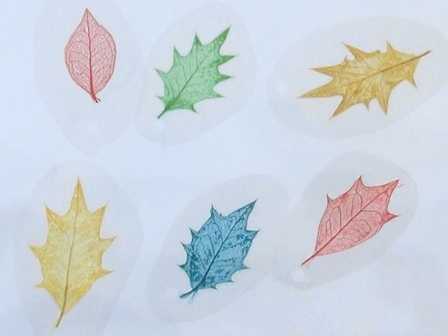 刈谷交通児童遊園 夢と学びの科学体験館の科学実験で作った「葉脈アート」_交通児童遊園