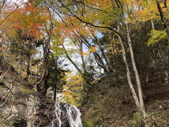 滝壺から見上げると、落ち口に終わりかけの紅葉が見られた_白糸の滝