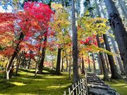 なっちゃんさんの見晴公園(香雪園)の投稿写真3