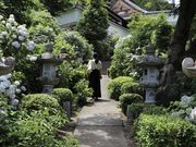 なっちゃんさんの大滝山福生寺西法院の紫陽花の投稿写真1
