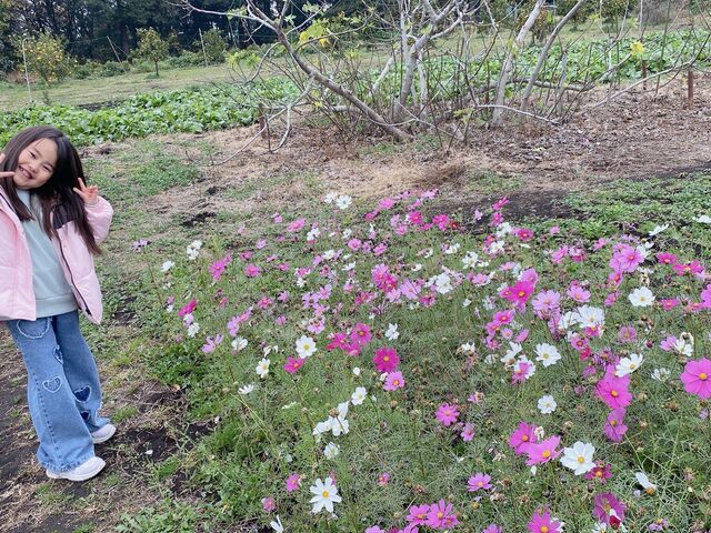 綺麗なお花もありました_モナの丘