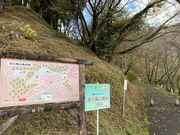 スターさんの金比羅山緑地の投稿写真1