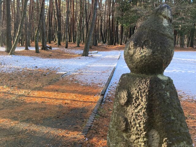諏訪の森自然公園 富士パインズパーク_諏訪の森自然公園 富士パインズパーク
