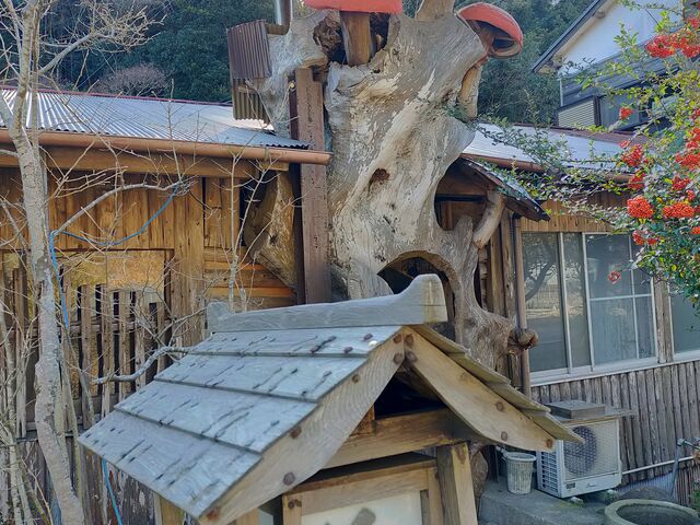 少し奇抜な外観_きのや