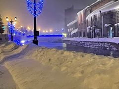 りょんりょんさんの小樽運河への投稿写真1