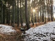 ウッキーさんの諏訪の森自然公園 富士パインズパークの投稿写真1