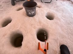 もちゃさんのRaft&Crew Outdoor Company.(ラフトアンドクルー)への投稿写真1