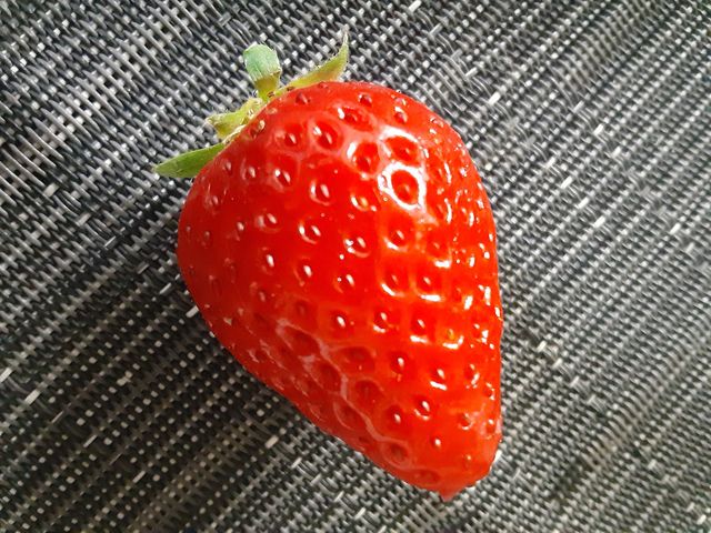 満点_中電ウイングファーム