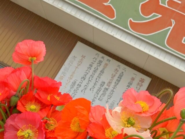 ポピー狩り_広口苺園
