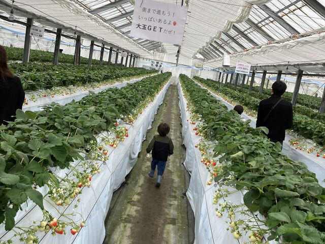 広く平らな通路_ハッピー農園