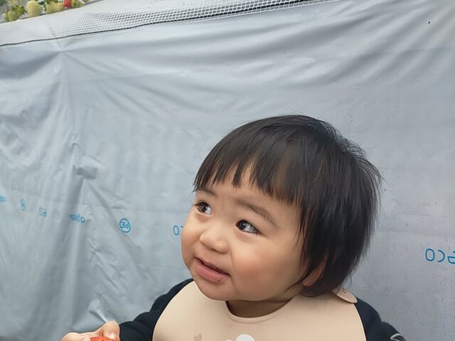 地面は平らで、小さい子でも歩けます。_ハッピー農園