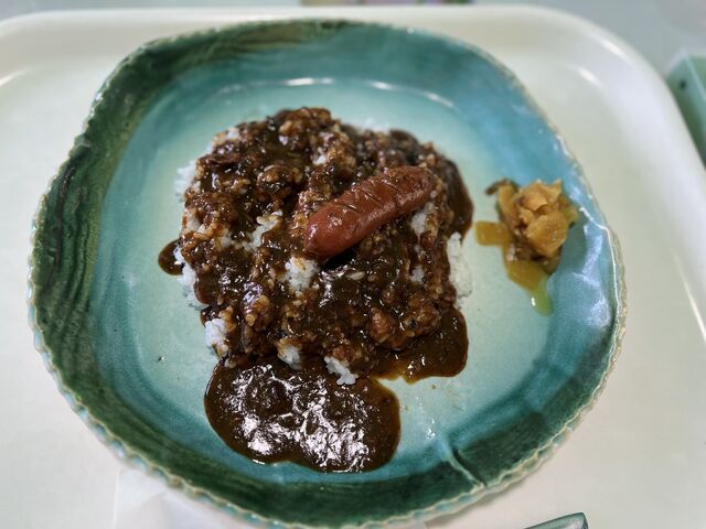 薬膳カレー_鶯の里 正山窯