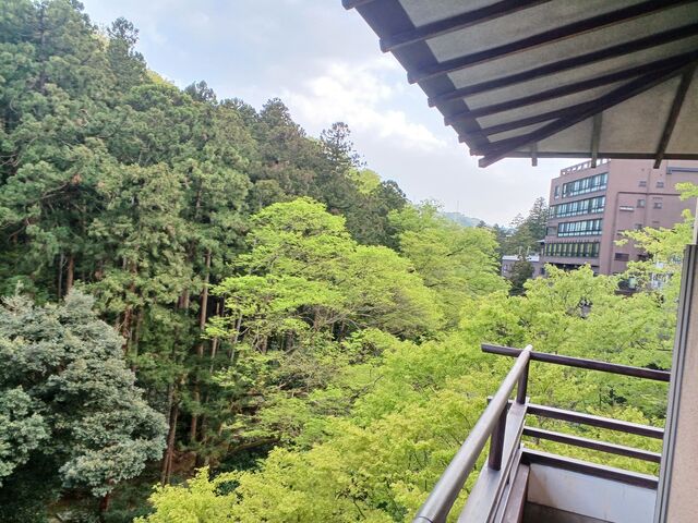 516号室からの眺望 緑豊で落ち着きます_大江戸温泉物語Premium よしのや依緑園