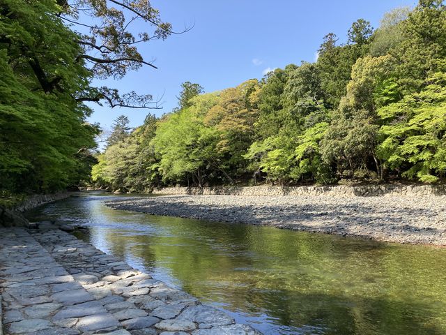 伊勢神宮内宮の五十鈴川。
綺麗な黄緑の木々が川面に映り、映えます!_近畿日本鉄道株式会社