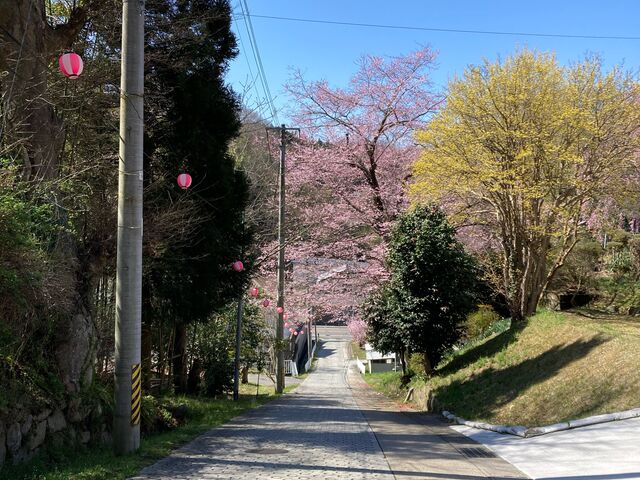 急なお城坂_三春城跡
