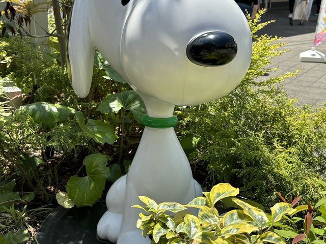 スヌーピーミュージアムもあるよ。_南町田グランベリーパーク