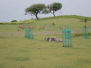 マイBOOさんの鹿山公園の投稿写真1