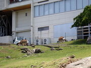 マイBOOさんの鹿山公園の投稿写真1