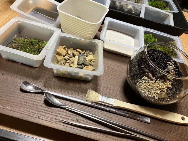 苔リウム作成中_苔リウム工房猪名川
