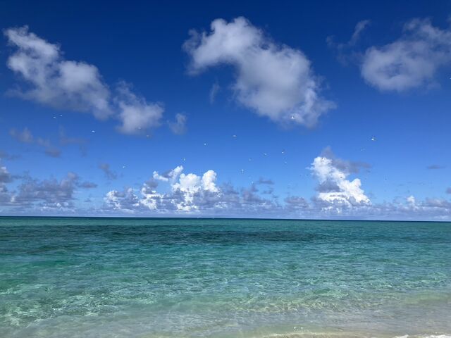 ユニの浜_マリンジェットガイド 海惚