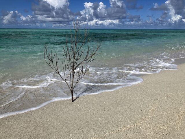 ユニの浜_マリンジェットガイド 海惚