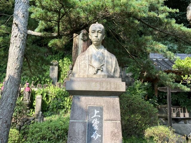 境内の赤松も素晴らしい_東善寺