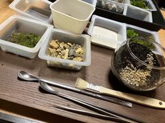 苔リウム工房猪名川の写真1