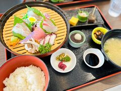 みほりんさんのイルカウォッチング受付予約センターへの投稿写真1