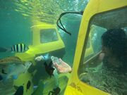 みーちゃんさんの思い出販売所 美ら海の投稿写真1