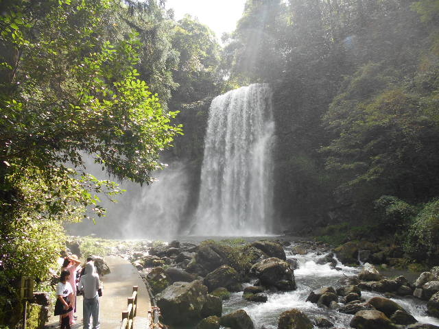 トシローさんの桜滝の投稿写真1