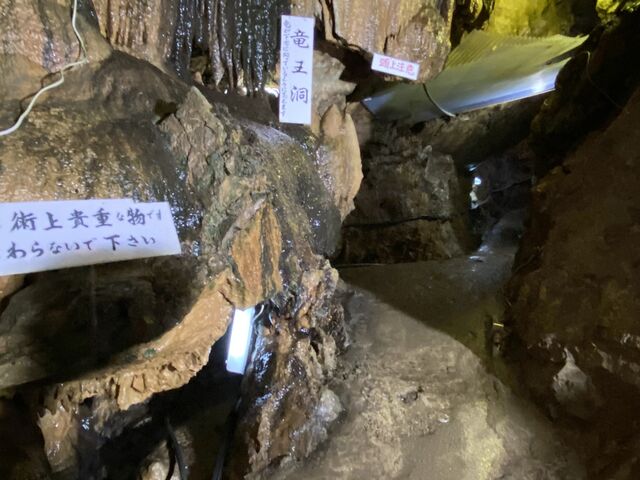 sentosanさんの大滝鍾乳洞の投稿写真4