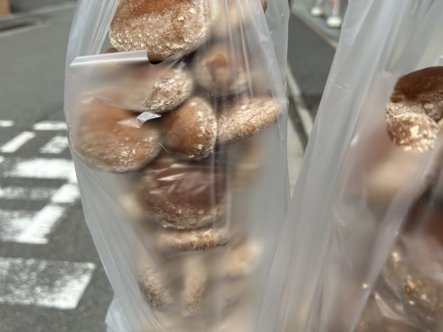 椎茸狩り終了後_アスタネ