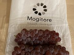 ちっちさんのみなかみフルーツランドモギトーレへの投稿写真1