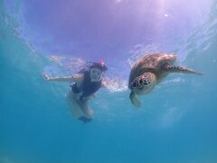 アークさんのOkinawa tripsへの投稿写真1