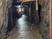 sentosanさんの大滝鍾乳洞の投稿写真1