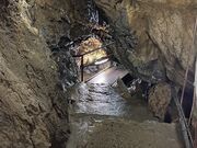 sentosanさんの大滝鍾乳洞の投稿写真2