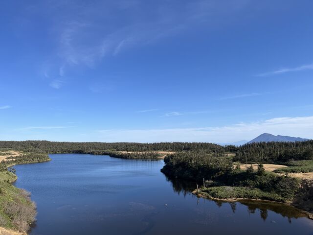湿地帯から展望台へ登る途中で見下ろす八幡沼_八幡沼