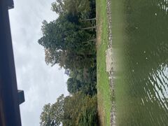 福ちゃんさんの彦根城屋形船への投稿写真1