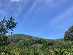 ないぜしぜん村の写真2