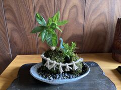 伊勢夫婦岩めおと横丁の写真1