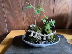 伊勢夫婦岩めおと横丁の写真2