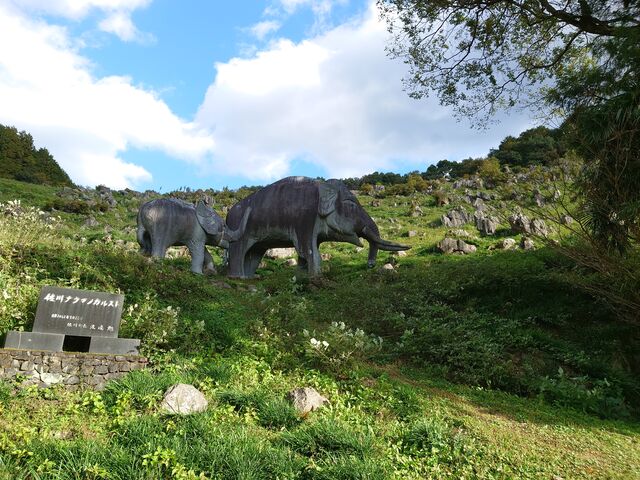 佐川ナウマンカルスト