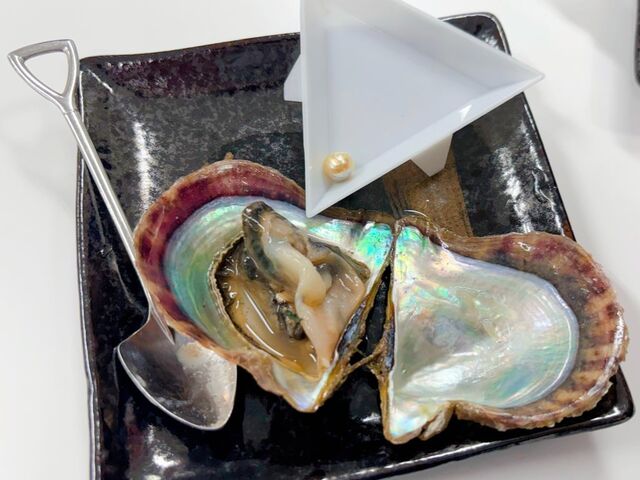 ゴールドカラーの真珠が出て来ました!珍しい色合いだそうで、嬉しいです。_PICOLABO