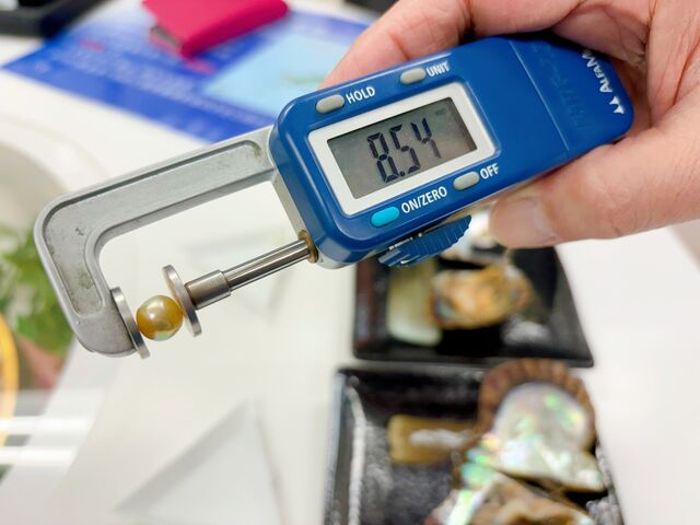 8.5mm超えの大玉でした。_PICOLABO