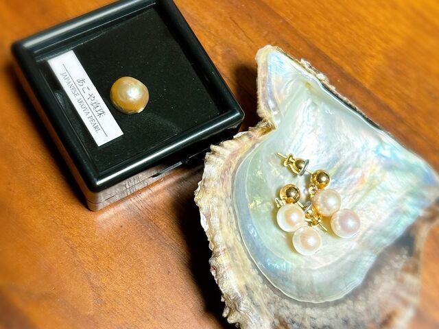 アコヤ貝の貝殻も頂けたので、アクセサリートレイにしようと思います。_PICOLABO