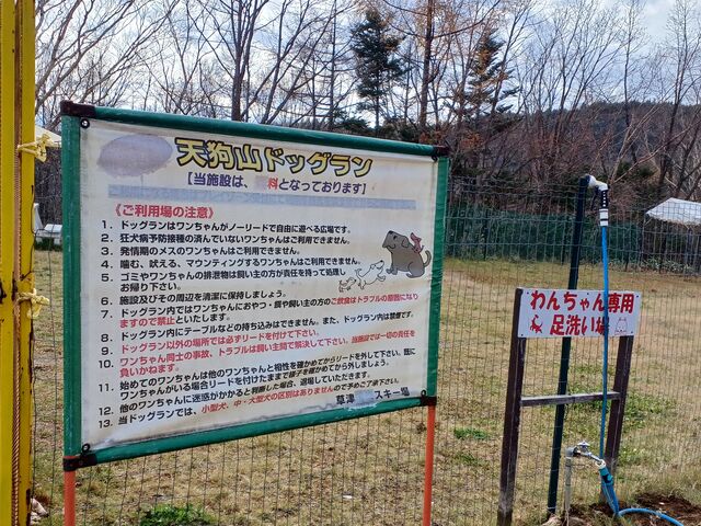 山頂のゴンドラ降り場付近にはドックランも…_天狗山プレイゾーン